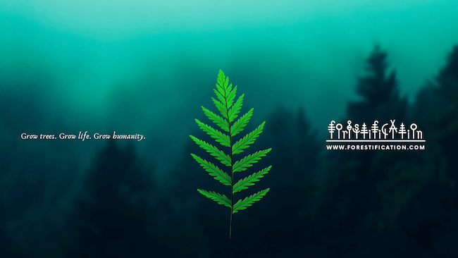 Sponsor Advertisement